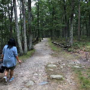 Meet your Posher, Yolanda